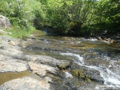 Parque Natural Montaña Palentina;excursiones en grupo senderismo de montaña rutas de senderismo por 